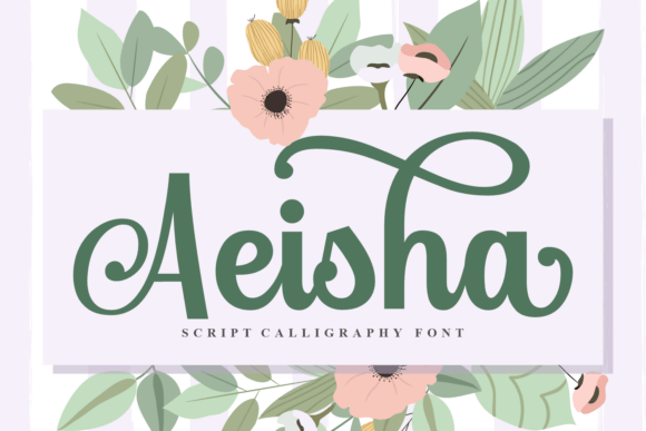 Aeisha: A Bold Script Font for Web Design