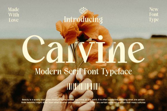 Calvine: A Modern Serif Font for Thoughtful Editorial Design