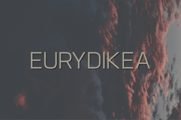 How Eurydikea Transformed My Brand’s Visual Identity