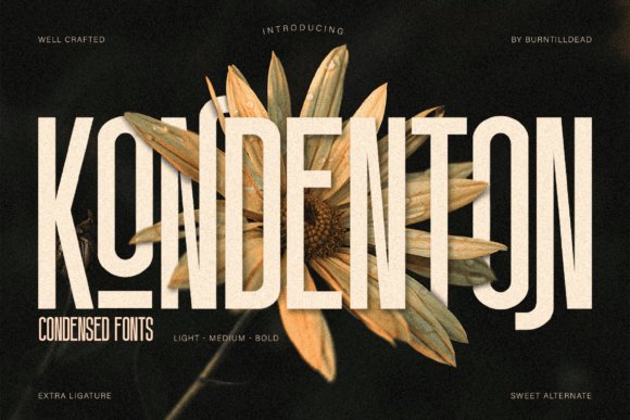 Kondenton: A Modern Sans Serif Font for Your Business
